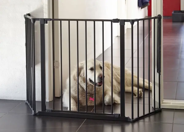 Baby Dan BabyDan Prostorová zábrana pro pejsky Pet Flex M, kovová, černá