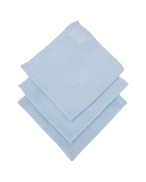 EKO Plenky mušelínové 3ks Blue 30x30 cm