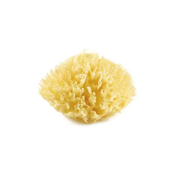 THERMOBABY Mořská houba, Yellow