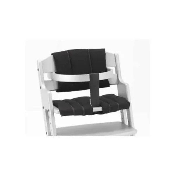 Baby Dan BabyDan vložka do židličky DanChair Black